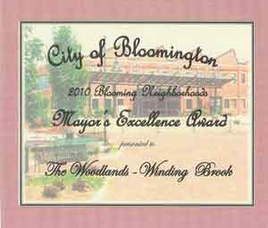 2010-mayor's-excellence-award